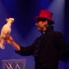 spectacle de magie - magie des oiseaux - magicien Allan Hart
