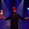 spectacle de magie - Allan Hart - magie des oiseaux